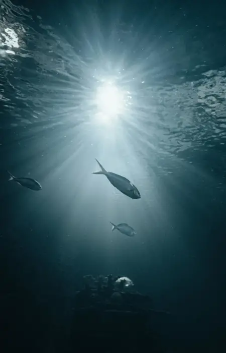 pexels-justguryan-13476996