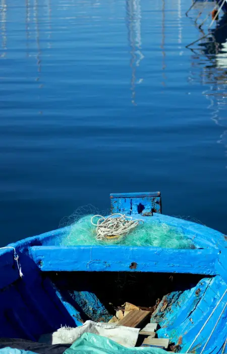 pexels-lorenzo-castronovo-180444906-12136516